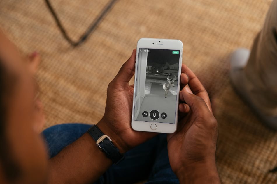 Mendon UT security system